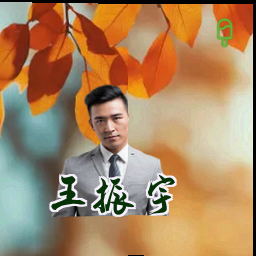 王振宇