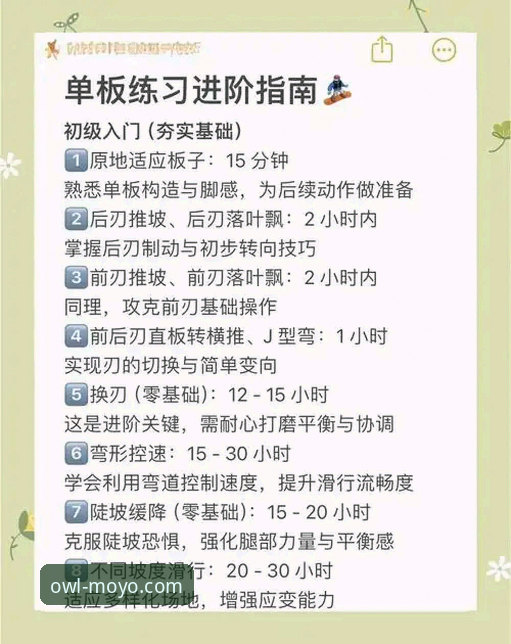 猫头鹰体育体验深度解析：从新手到高手的完整操作指南