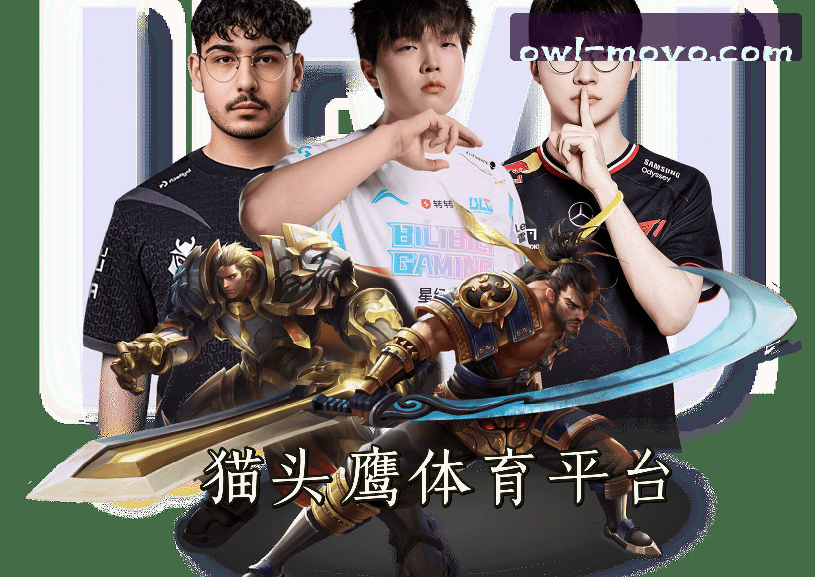 关于我们