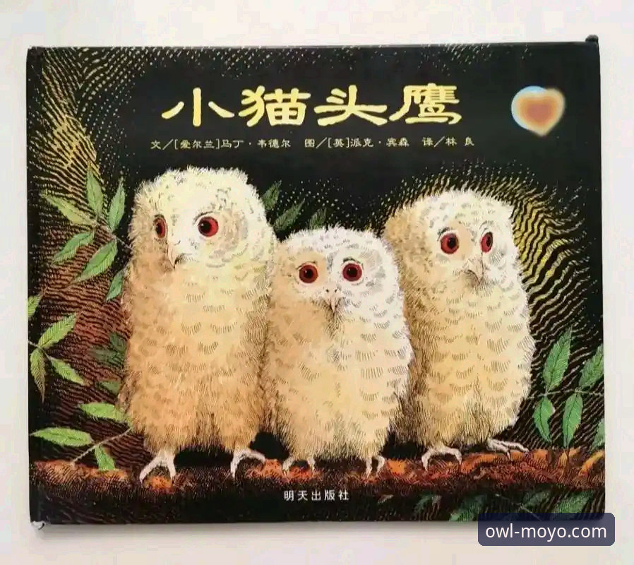 猫头鹰体育安全吗 揭秘猫头鹰体育平台:安全背后的真相,用户体验和数据隐私全解析
